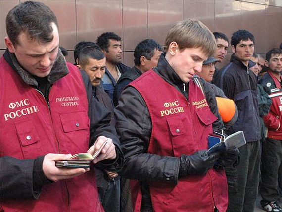 прописка в Павловске